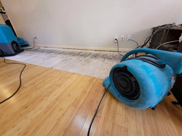 Professional Water Damage Repair technician working in Wood-Ridge, NJ